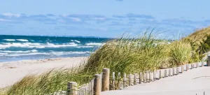 Cape Cod