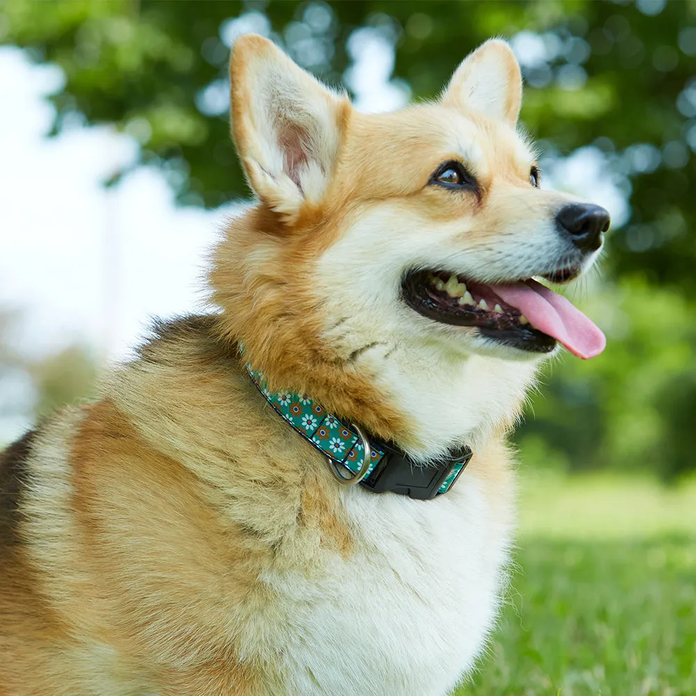 Christmas Drive - Dog Collar